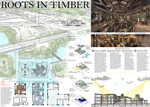 Roots in Timber