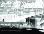 Architectural Asset Development
