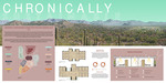 Chronically Sustainable: Creating a Sustainable Community for the Chronically Ill