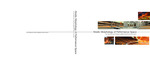 Kinetic Morphology of Performance Space