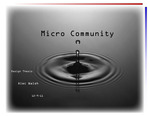 Micro Community