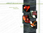 Midwest Musicians Institute: Architectural Design Through Music