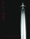 Flight: Reducing the Environmental Impact of Air Travel while Incorporating Nature within Architecture