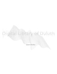 Digital Library of Duluth