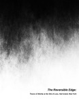 The Reversible Edge: Traces of Alterity at the Site of Loss, Hart Island, New York