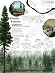 Protect, Restore, Connect: Using Architecture to Help Save the Redwoods