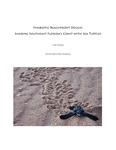 Symbiotic beachfront design :  sharing Southeast Florida's coast with sea turtles
