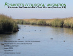 Promoted ecological Migration: Preserving San Francisco Bay’s Tidal Wetlands