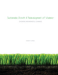 Sustainable Growth and Redevelopment of Wadena: Evoking a Meaningful Change