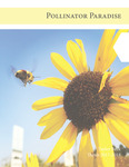 Pollinator Paradise: Restoring Bee Habitat through a Recreational and Educational Park in Los Angeles, California