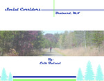 Social Corridors