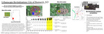 Urbanscape Revitalization