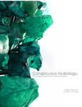 Conspicuous hydrology: The untapped potential of stormwater