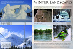 Winter Landscapes